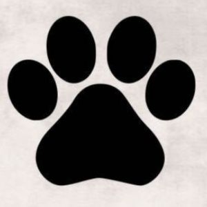 Meet your Posher, Nitza